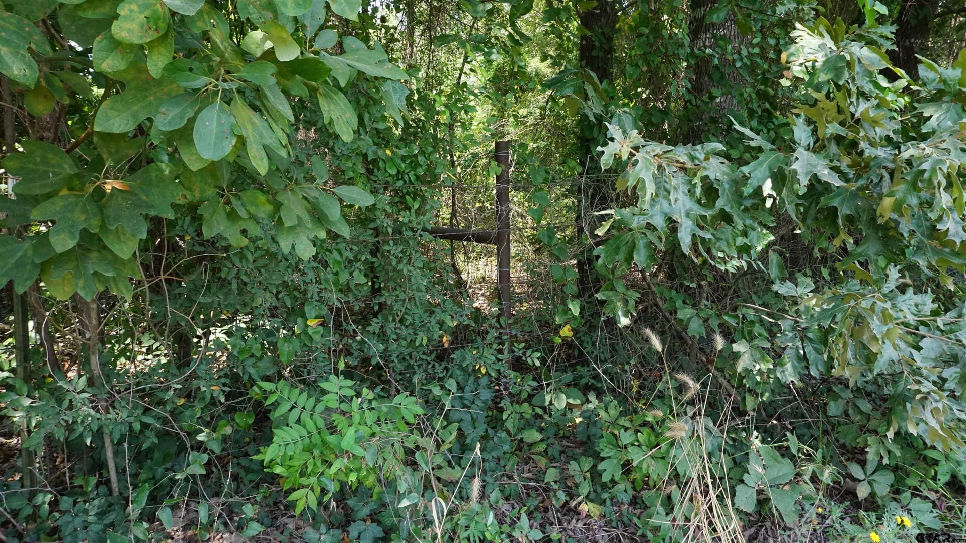 9.01 acres in Wood County - photo 30