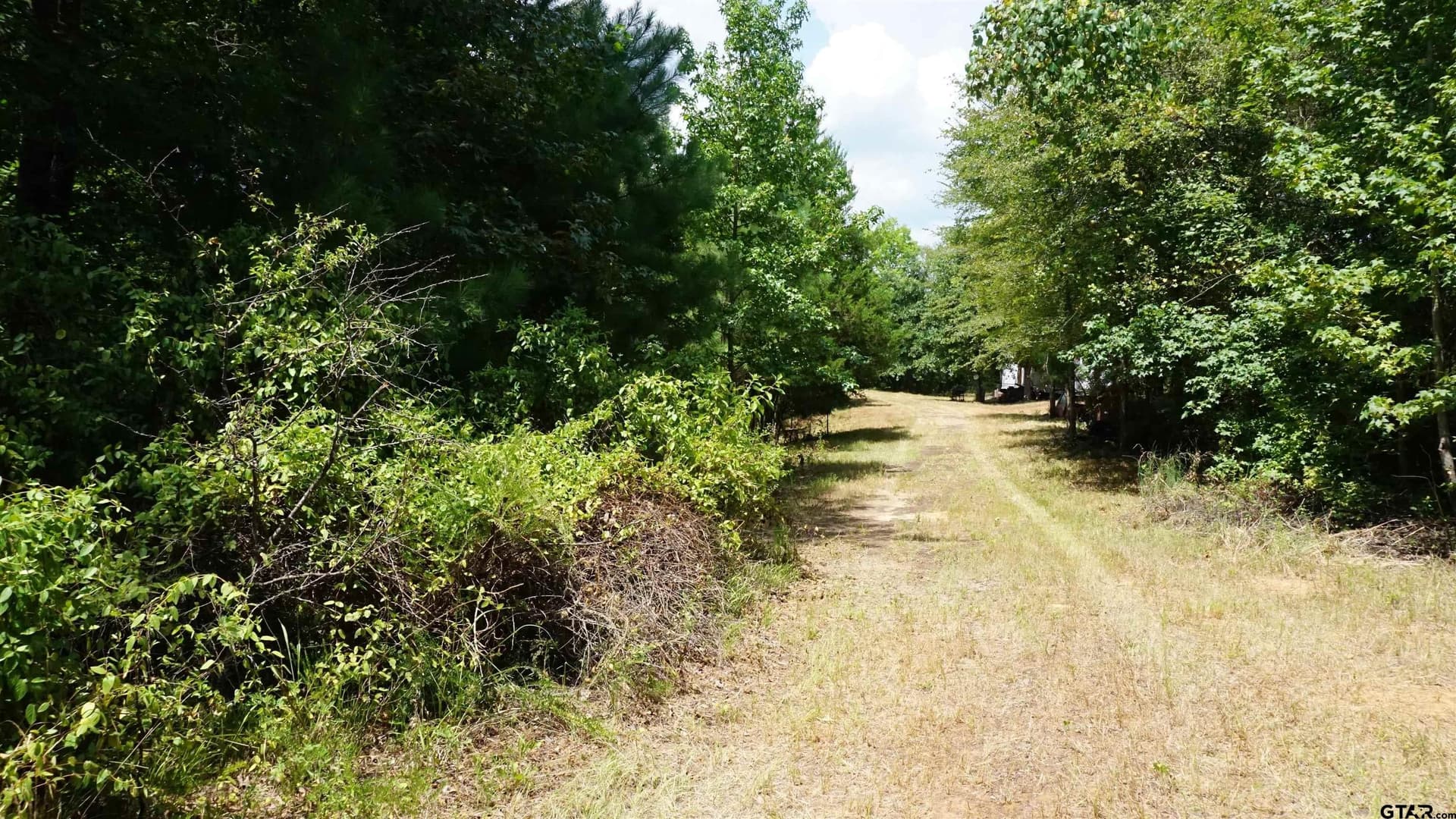 9.01 acres in Wood County - photo 29