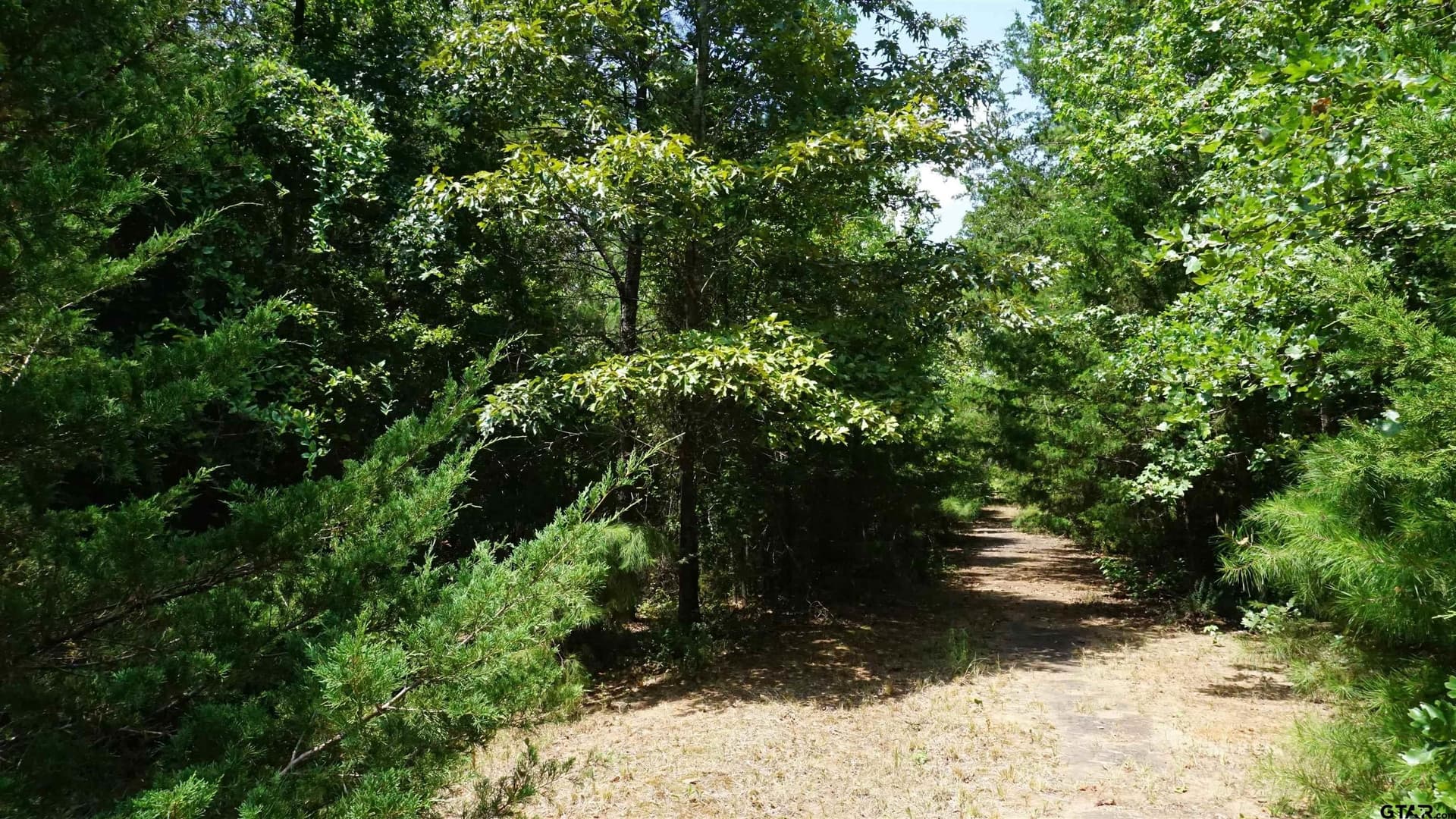 9.01 acres in Wood County - photo 15