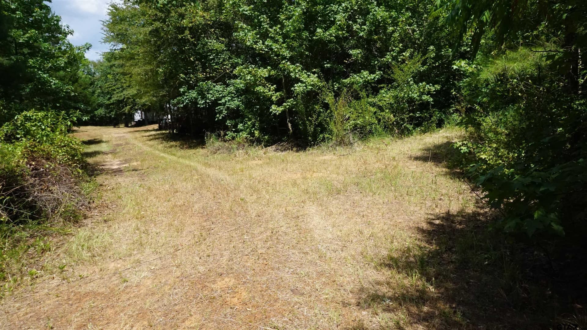 9.01 acres in Wood County - photo 9