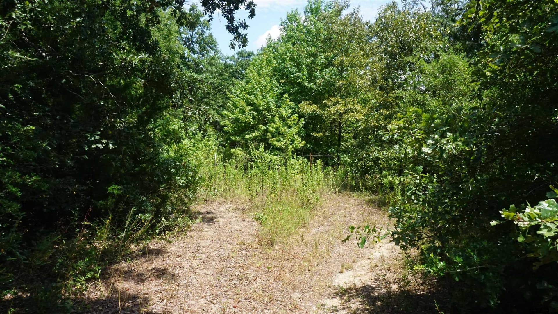 9.01 acres in Wood County - photo 26