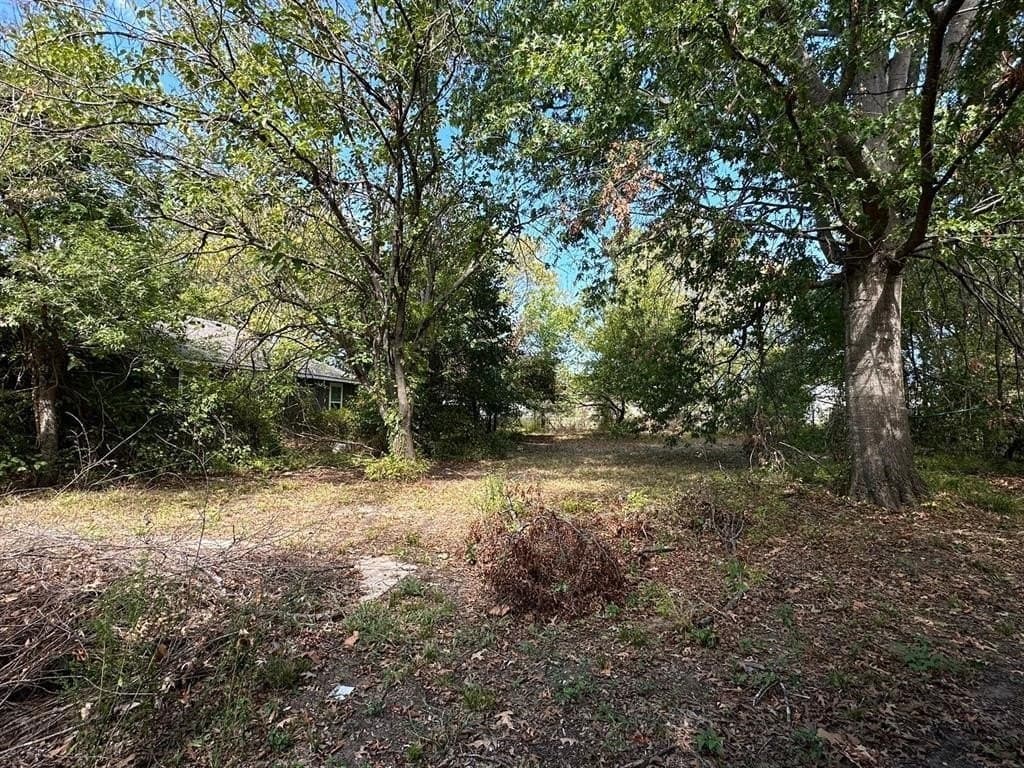 0.26 acres in Fannin County gallery image 3