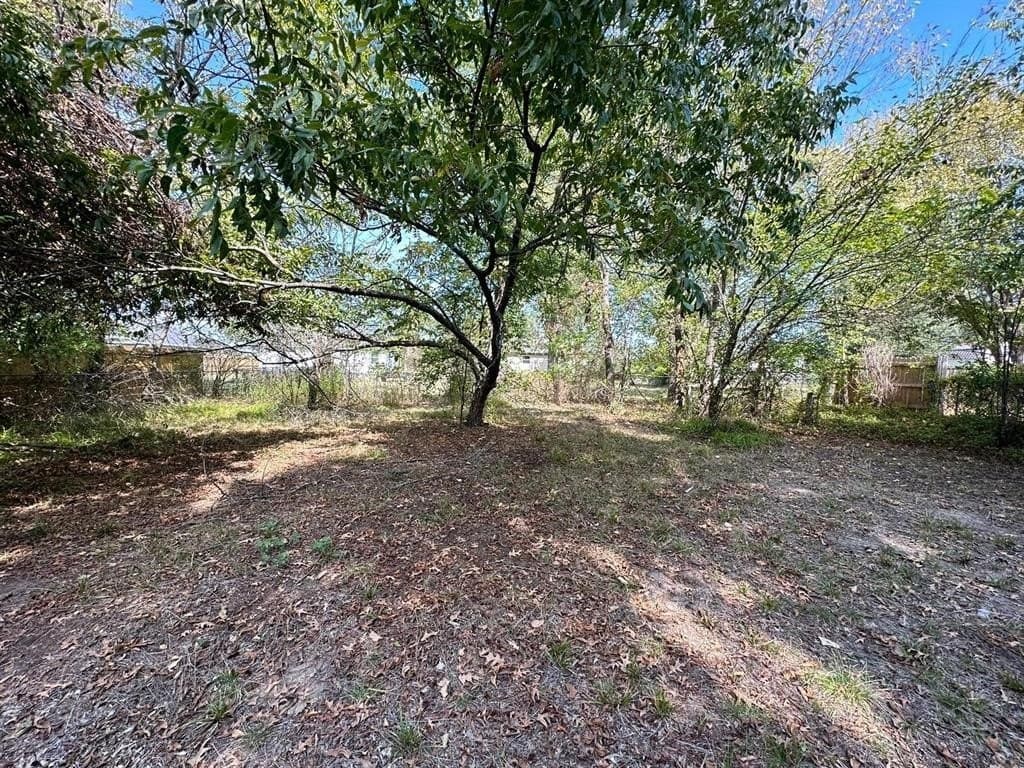 0.26 acres in Fannin County gallery image 4