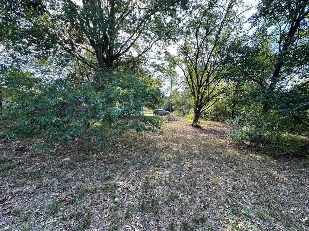 0.26 acres in Fannin County gallery image 2