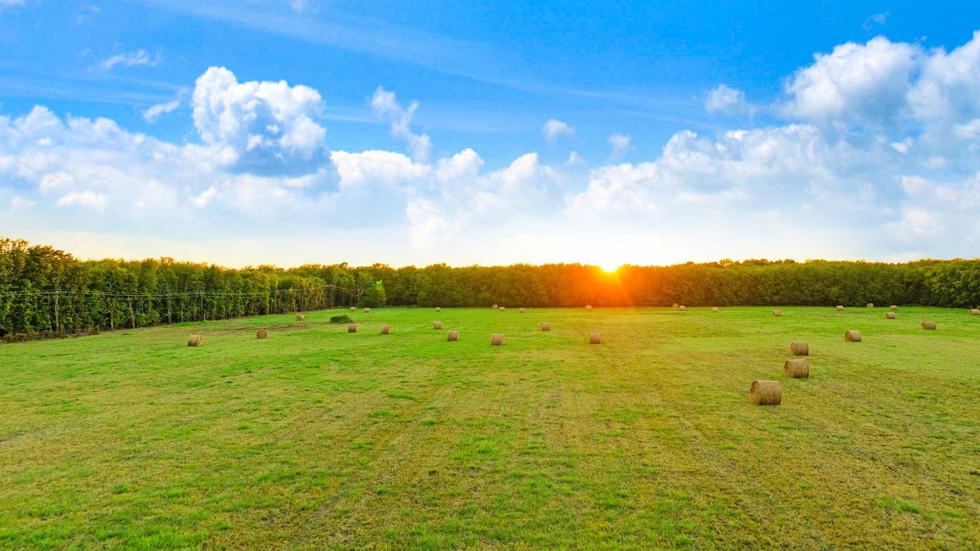 20 acres in Lamar County