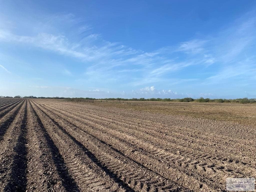 9.85 acres in HIDALGO County featured view
