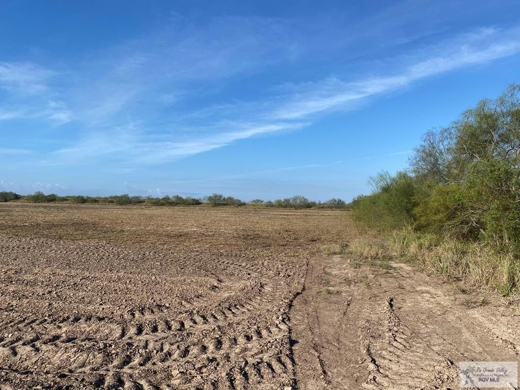 9.85 acres in HIDALGO County gallery image 4