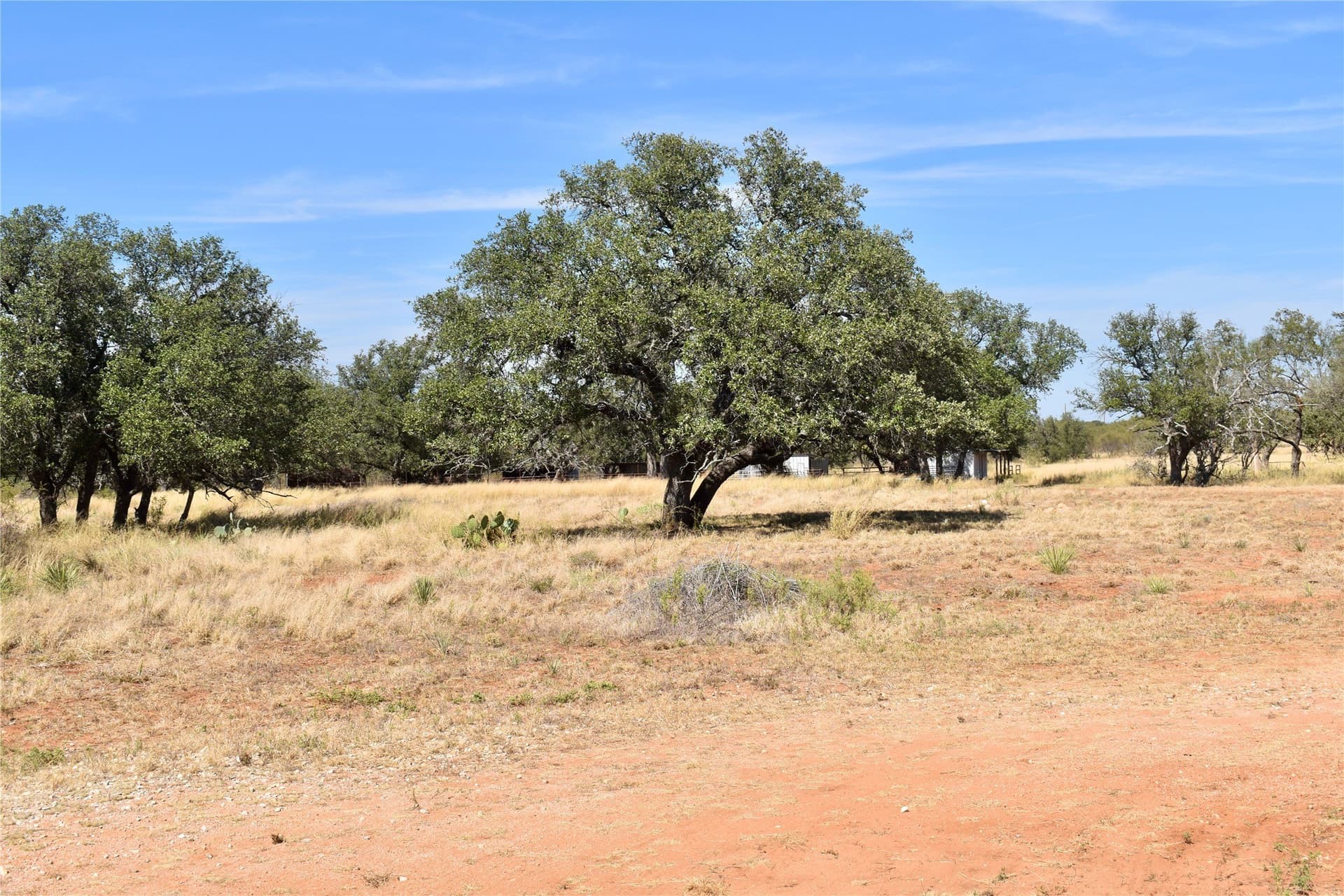 56.88 acres in Mason County - photo 20