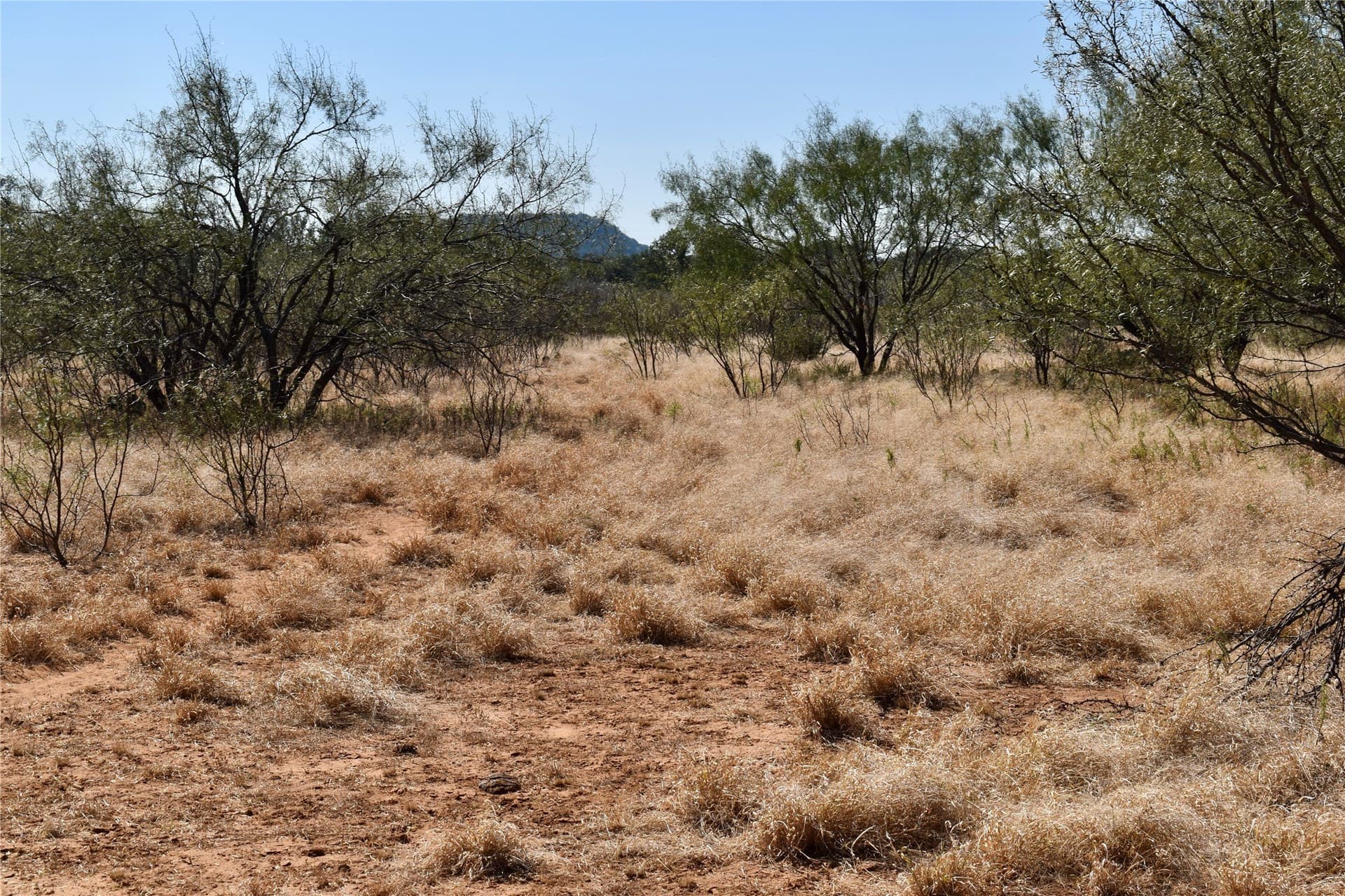 56.88 acres in Mason County - photo 22