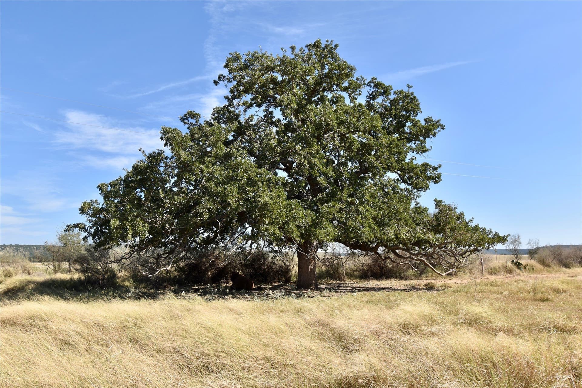 56.88 acres in Mason County - photo 24
