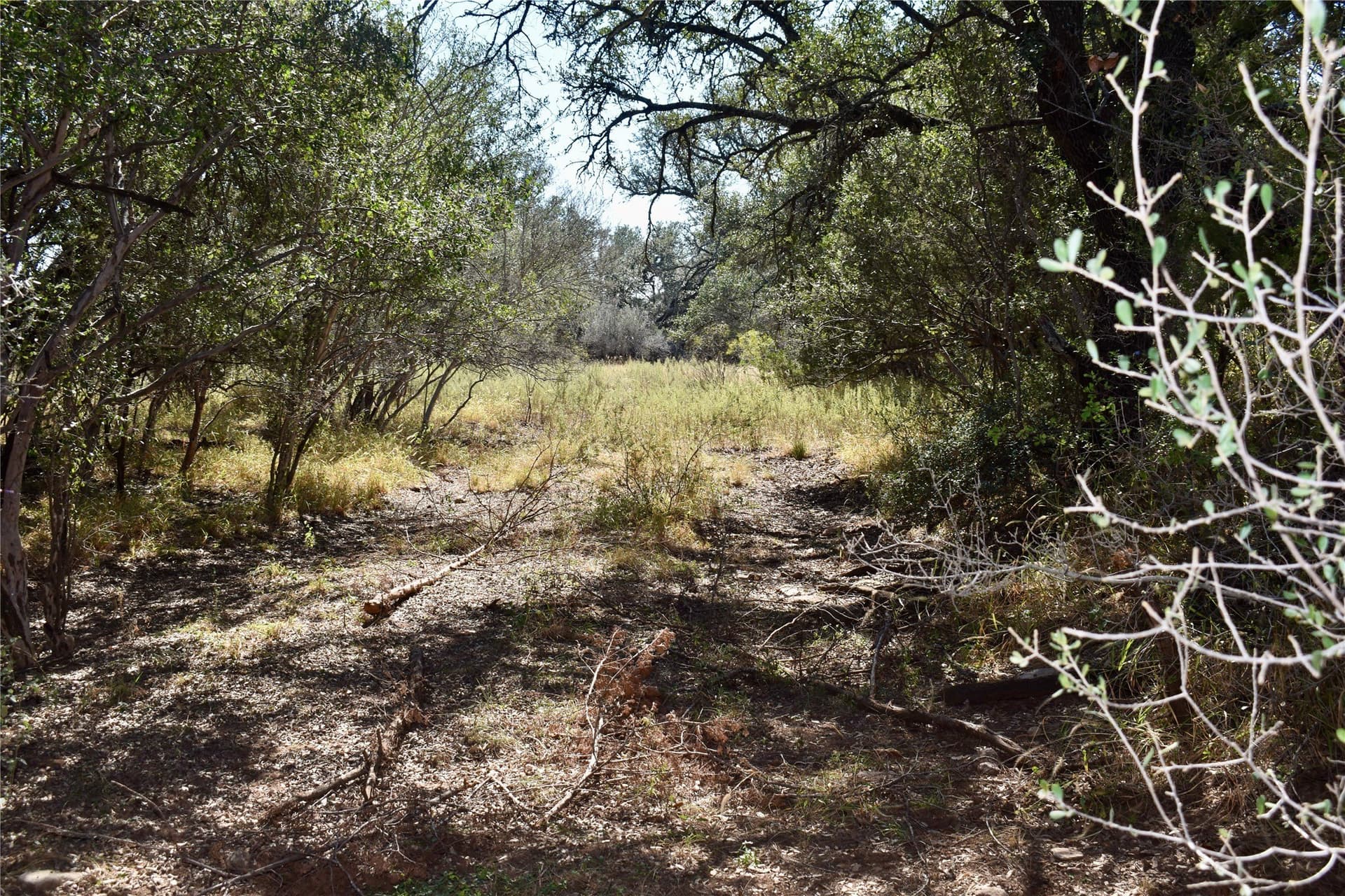 56.88 acres in Mason County - photo 38