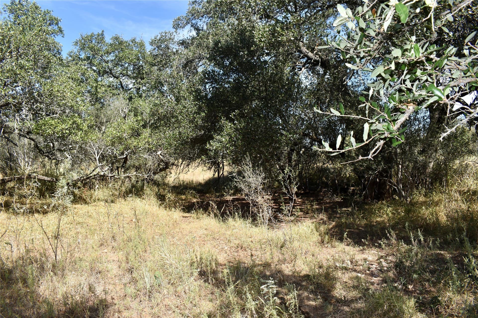 56.88 acres in Mason County - photo 35