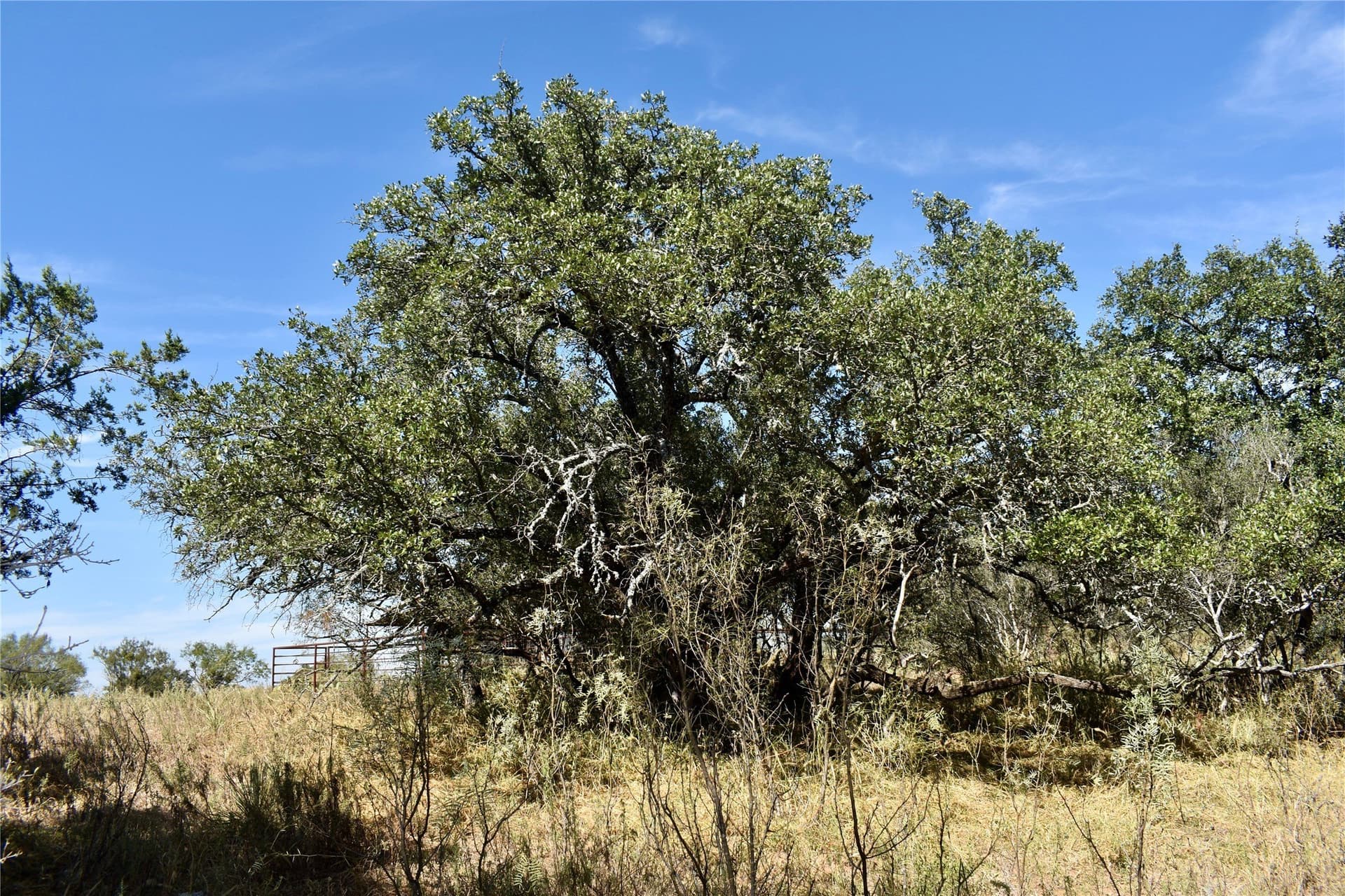 56.88 acres in Mason County - photo 26