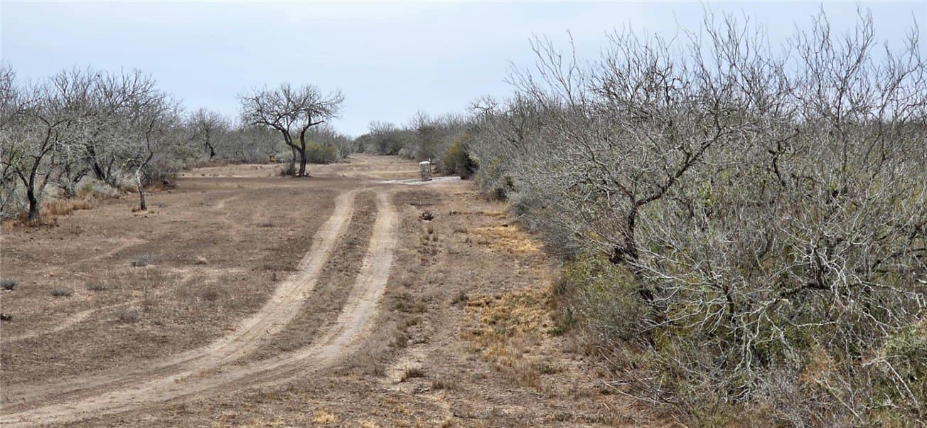 50 acres in Duval County gallery image 3