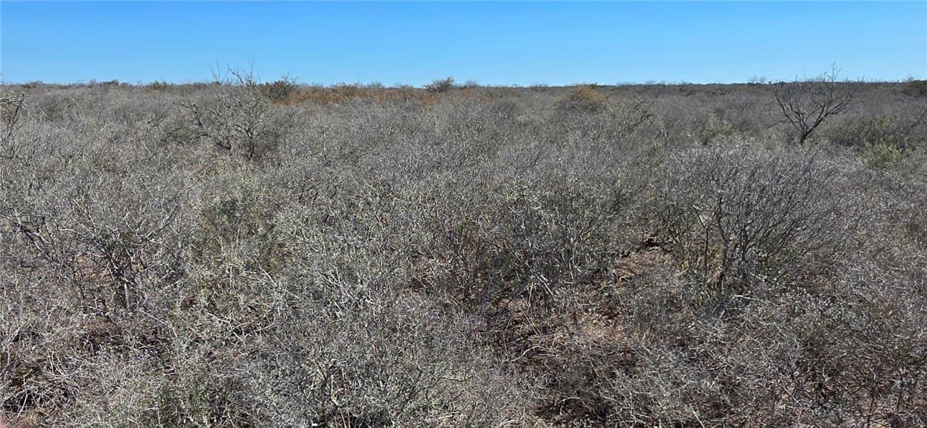 50 acres in Duval County gallery image 4