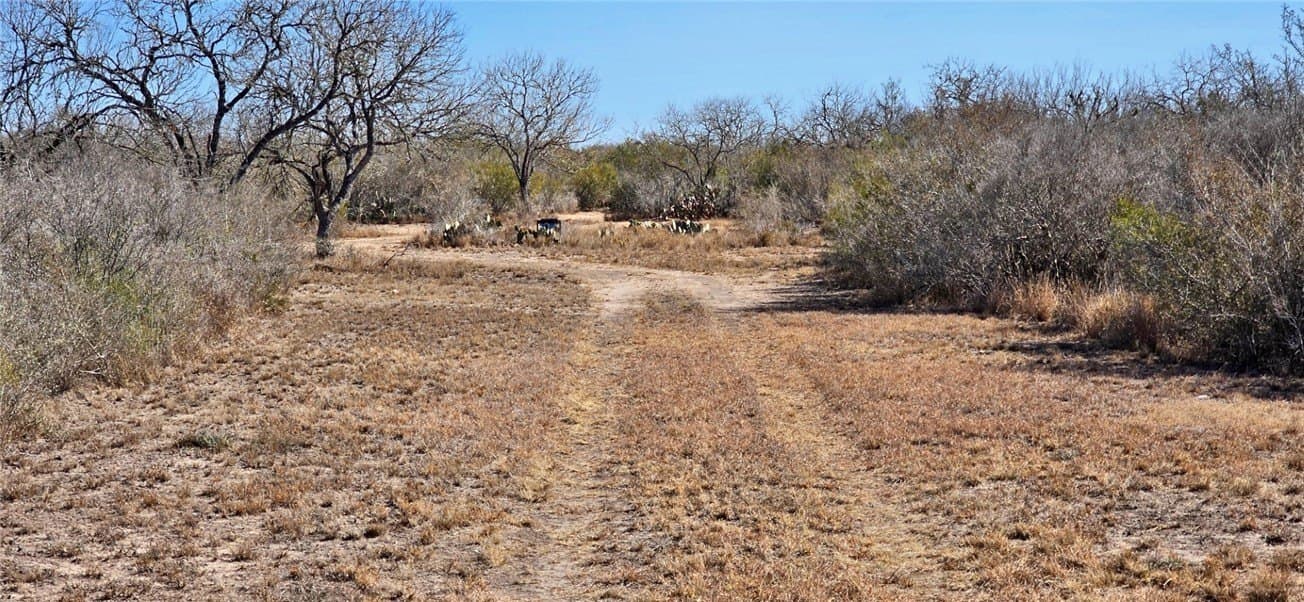 50 acres in Duval County gallery image 2