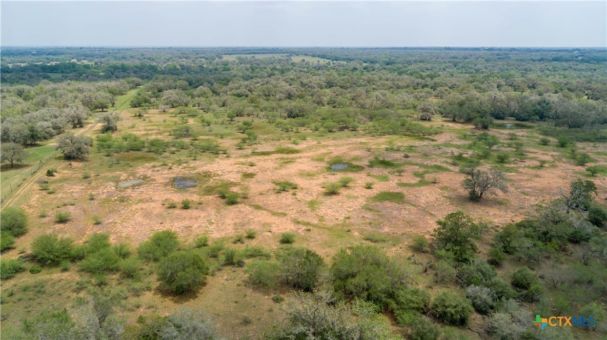 252.73 acres in DeWitt County gallery image 3