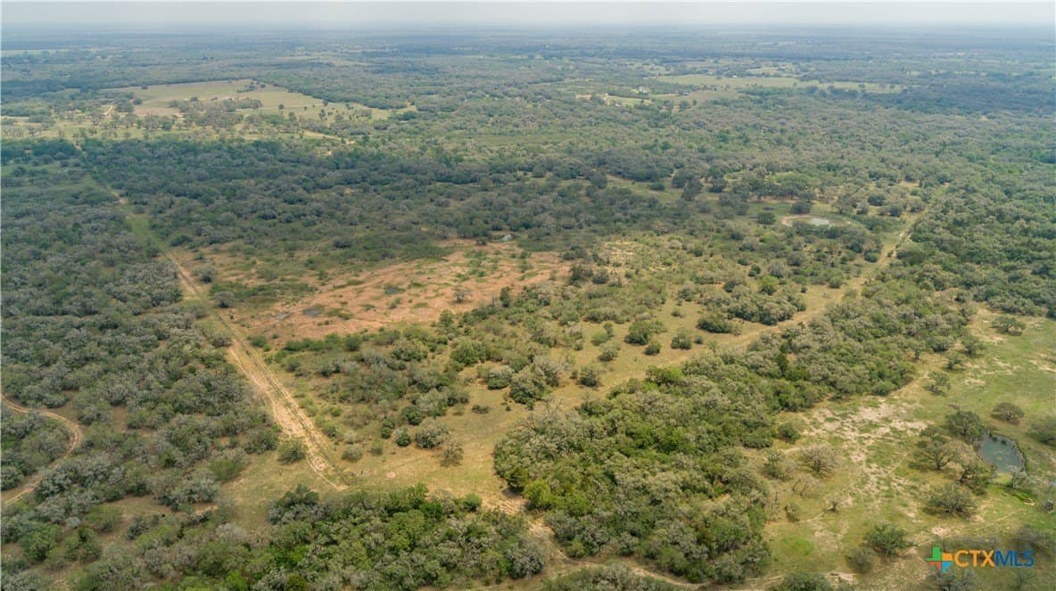 252.73 acres in DeWitt County gallery image 2