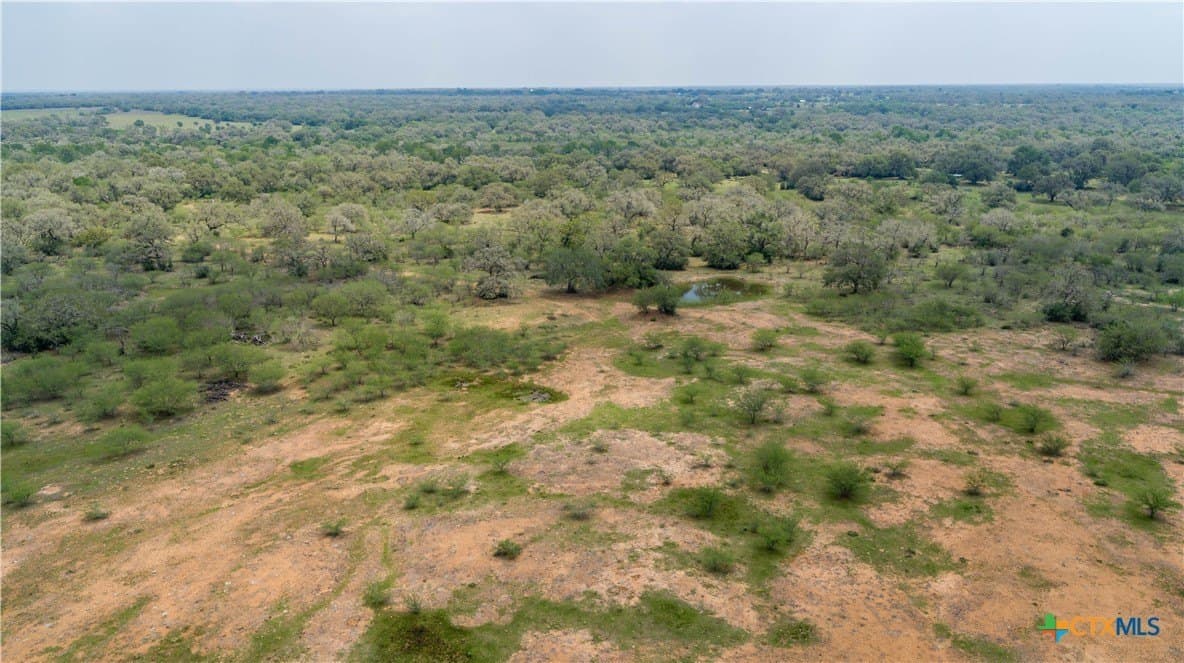 252.73 acres in DeWitt County gallery image 4