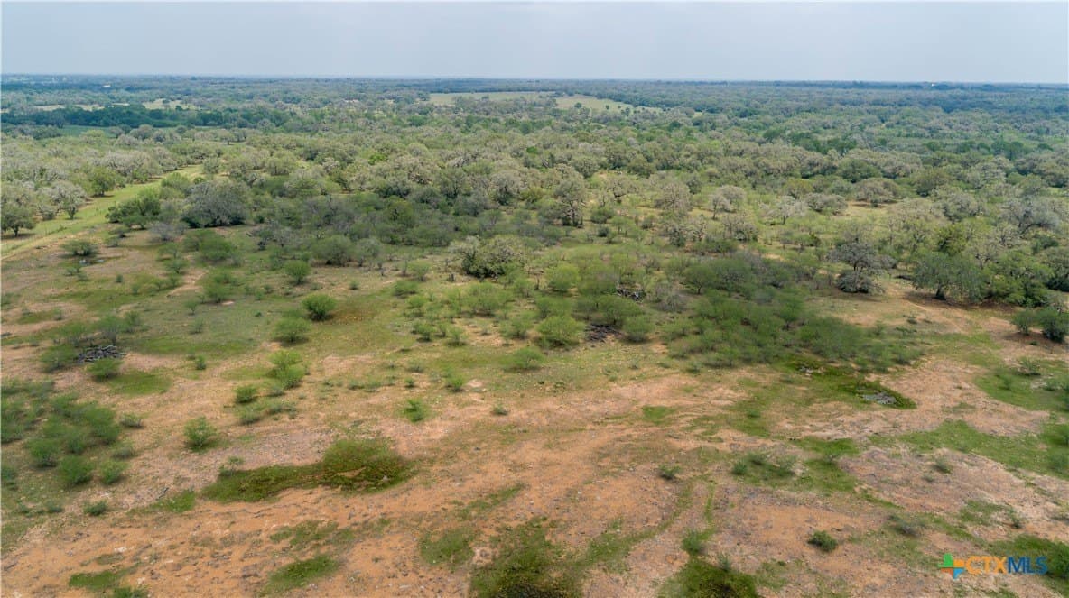 252.73 acres in DeWitt County featured view