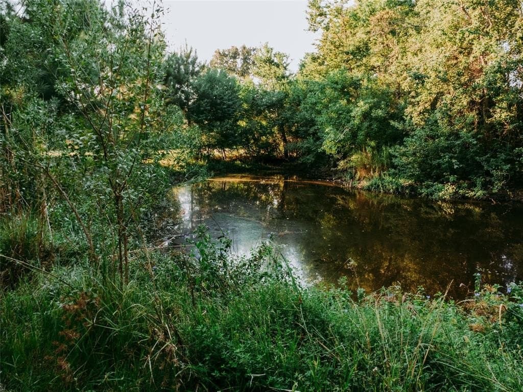 10 acres in Cherokee County gallery image 4