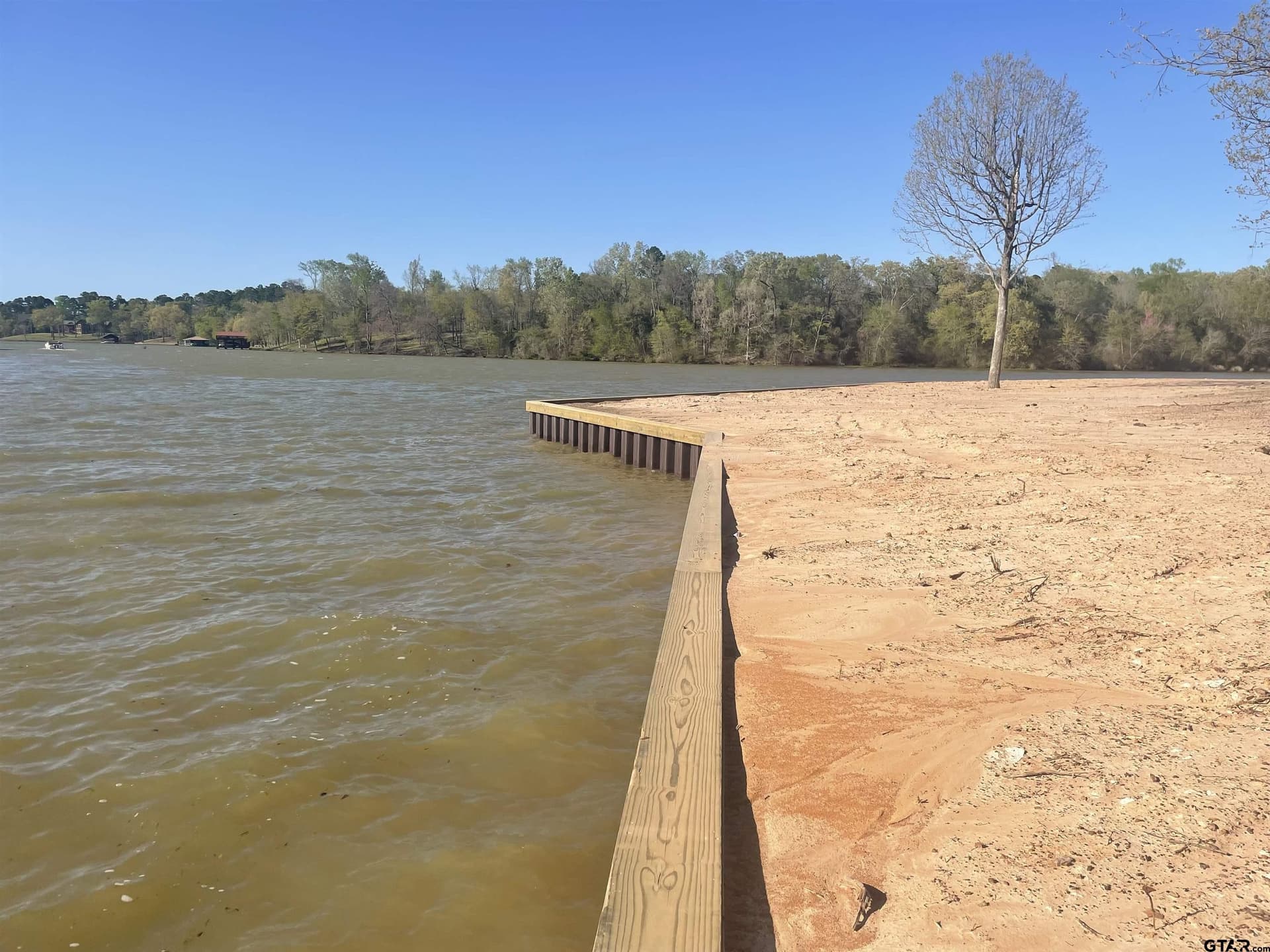 55.44 acres in Camp County gallery image 3