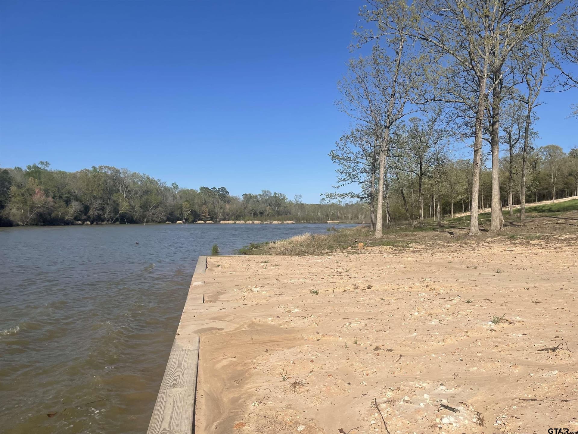 55.44 acres in Camp County gallery image 4