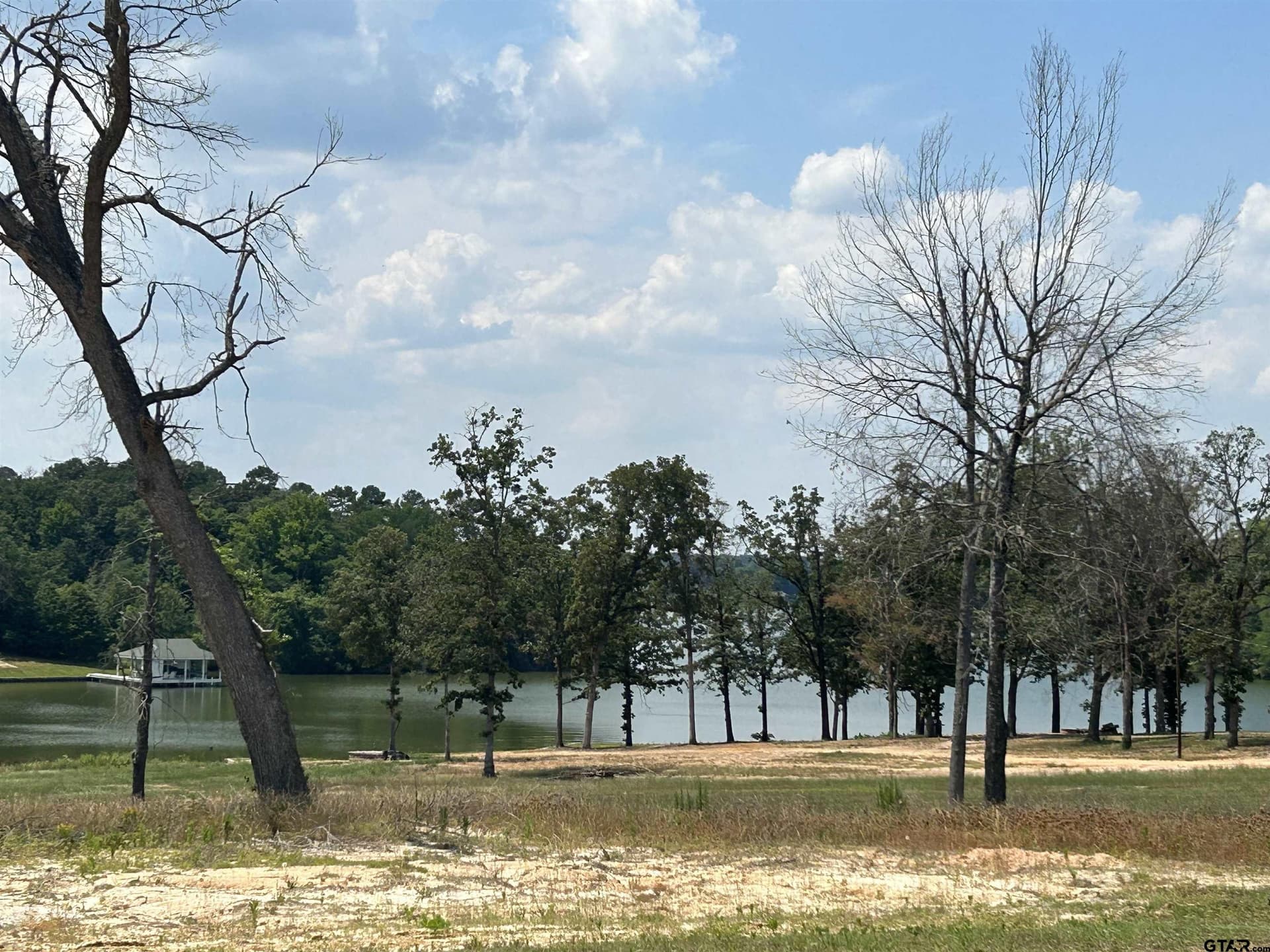 55.44 acres in Camp County featured view