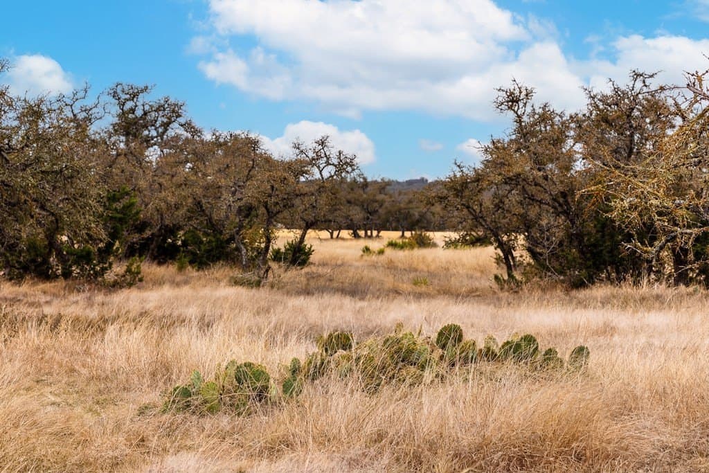 12 acres in Kerr County - photo 47