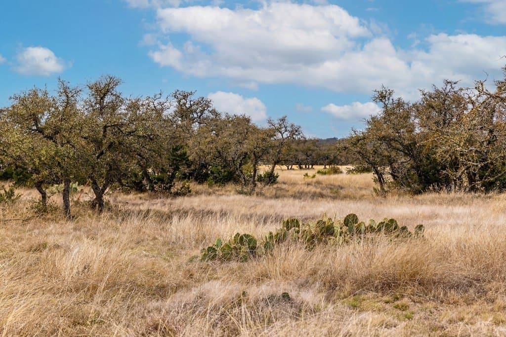 12 acres in Kerr County - photo 9