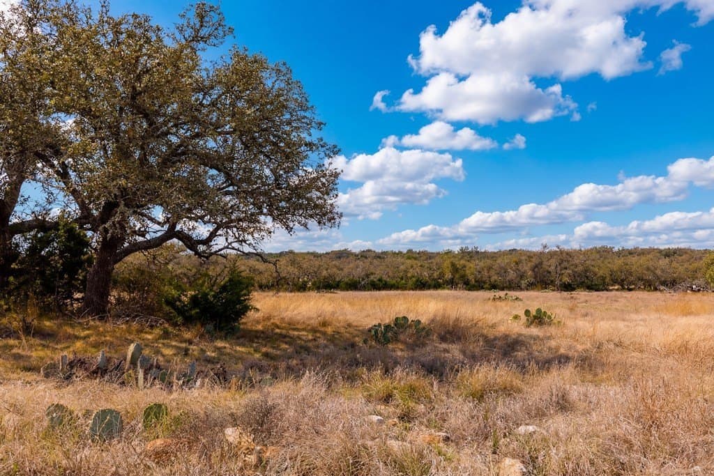 12 acres in Kerr County featured view