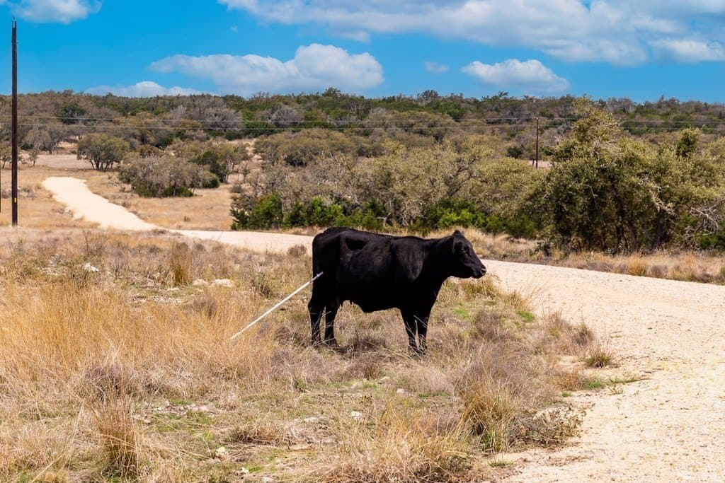 12 acres in Kerr County - photo 32
