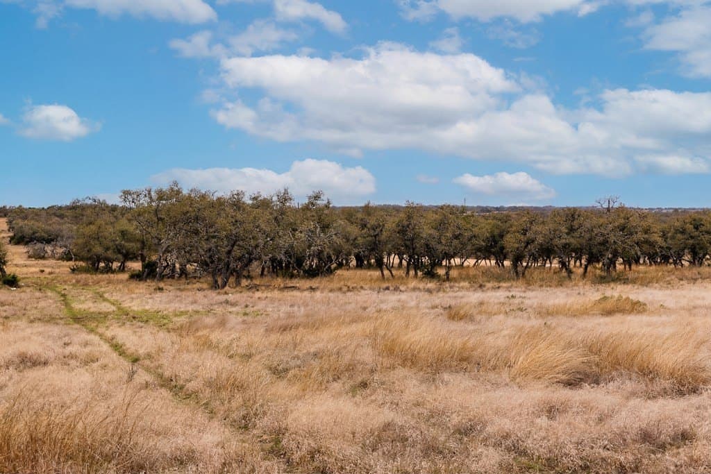 12 acres in Kerr County - photo 42