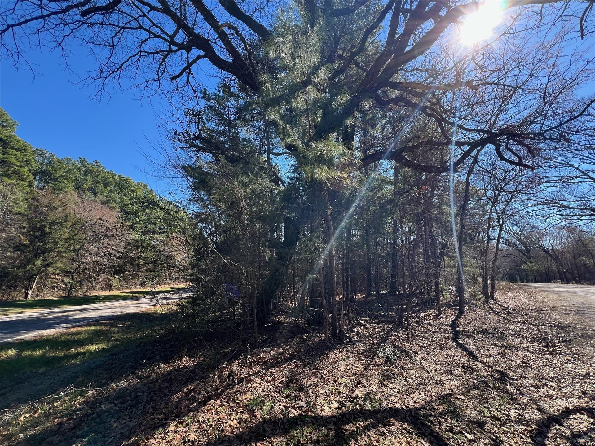 8 acres in Camp County gallery image 2