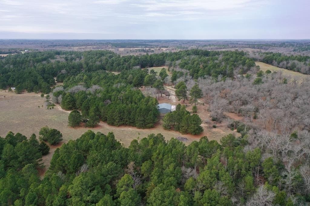 31.59 acres in ANDERSON County gallery image 4