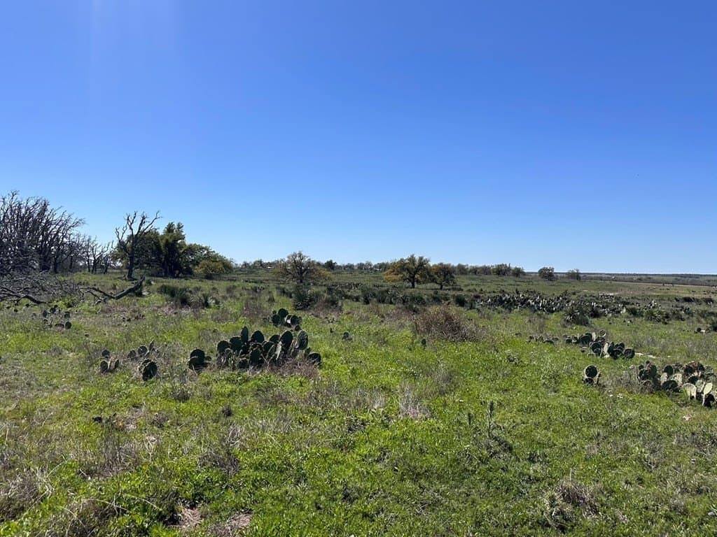 12 acres in Gillespie County - photo 10