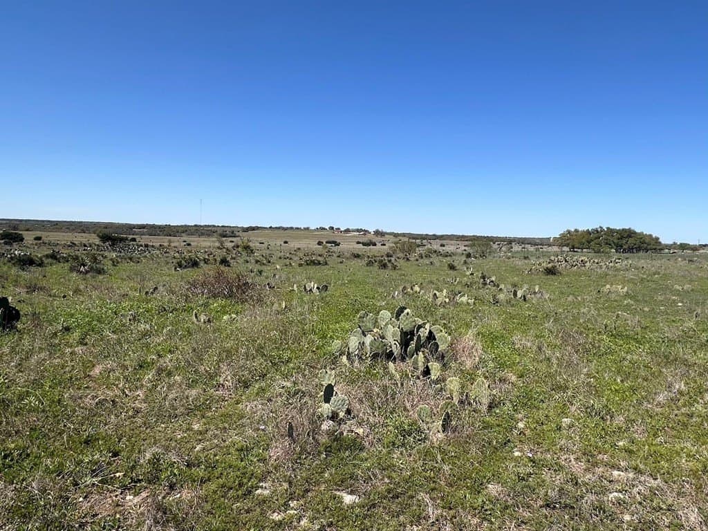 12 acres in Gillespie County - photo 8
