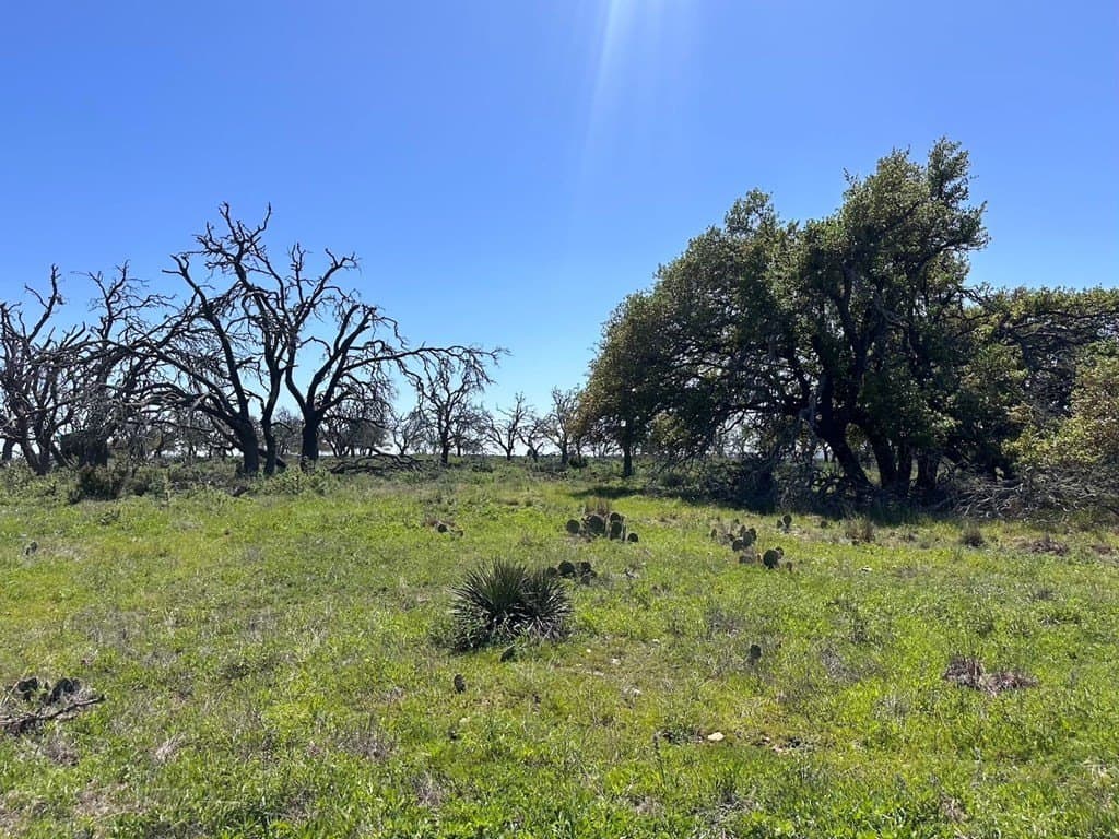 12 acres in Gillespie County - photo 11