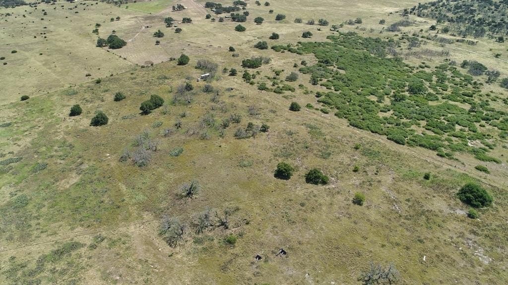 12 acres in Gillespie County - photo 17