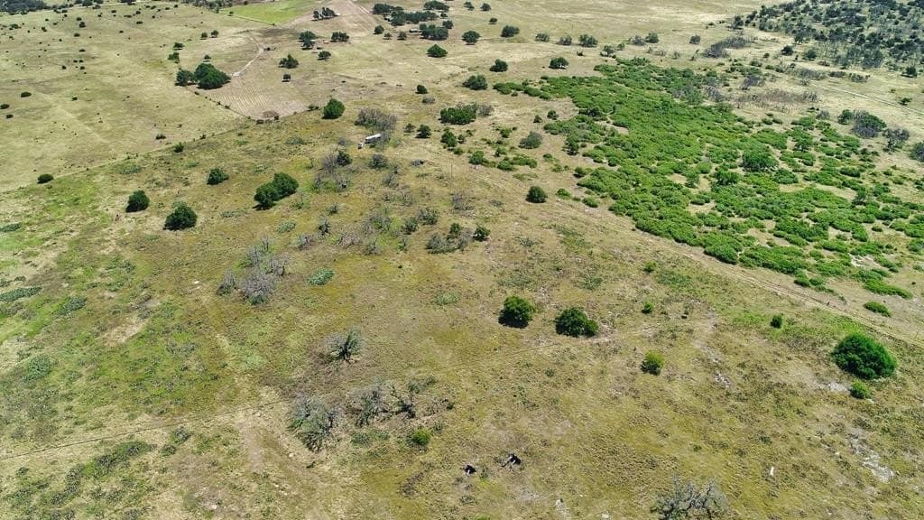12 acres in Gillespie County - photo 29