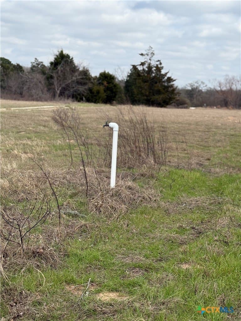 19.35 acres in Williamson County - photo 34