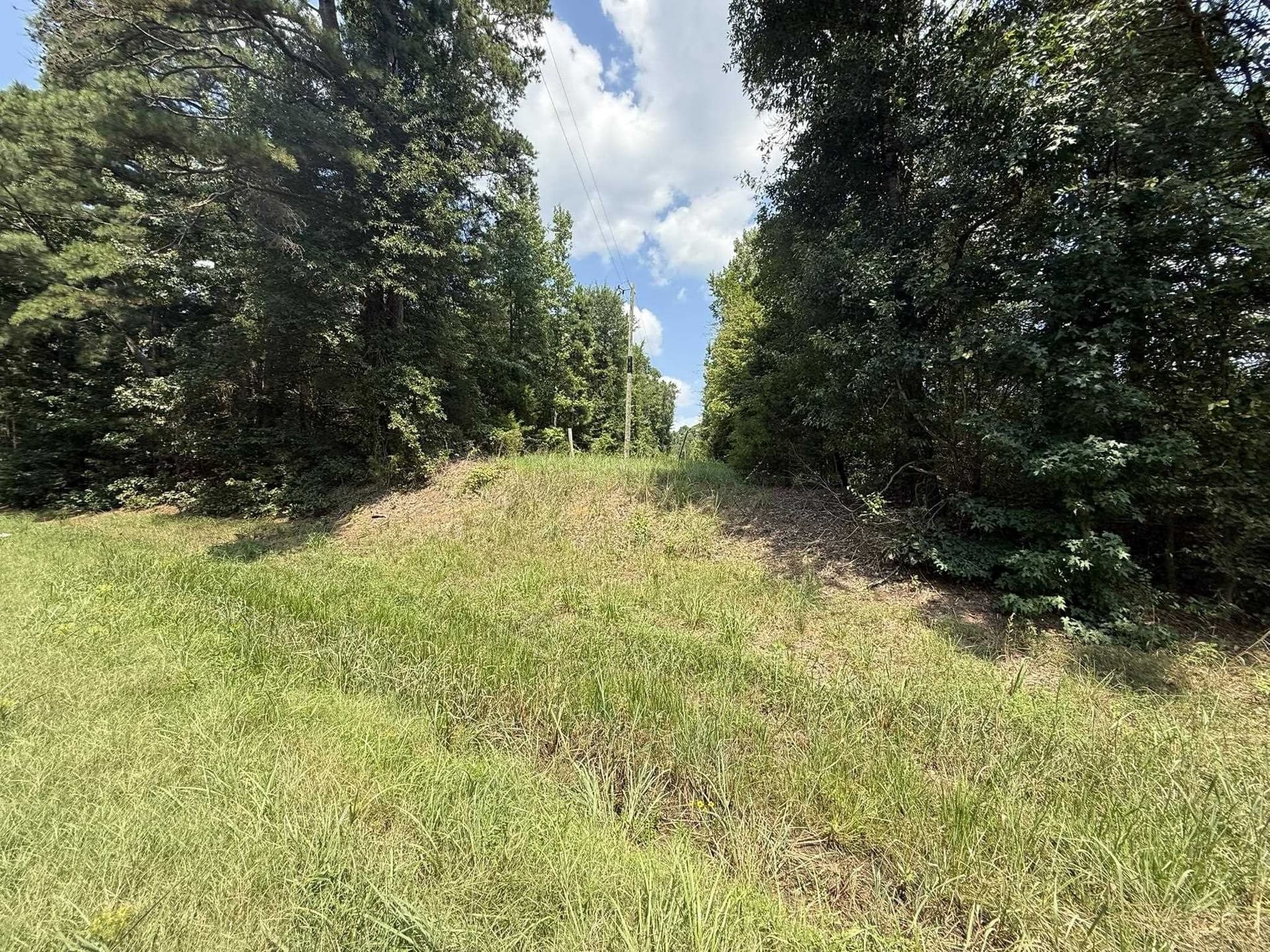 5 acres in Texas County - photo 24