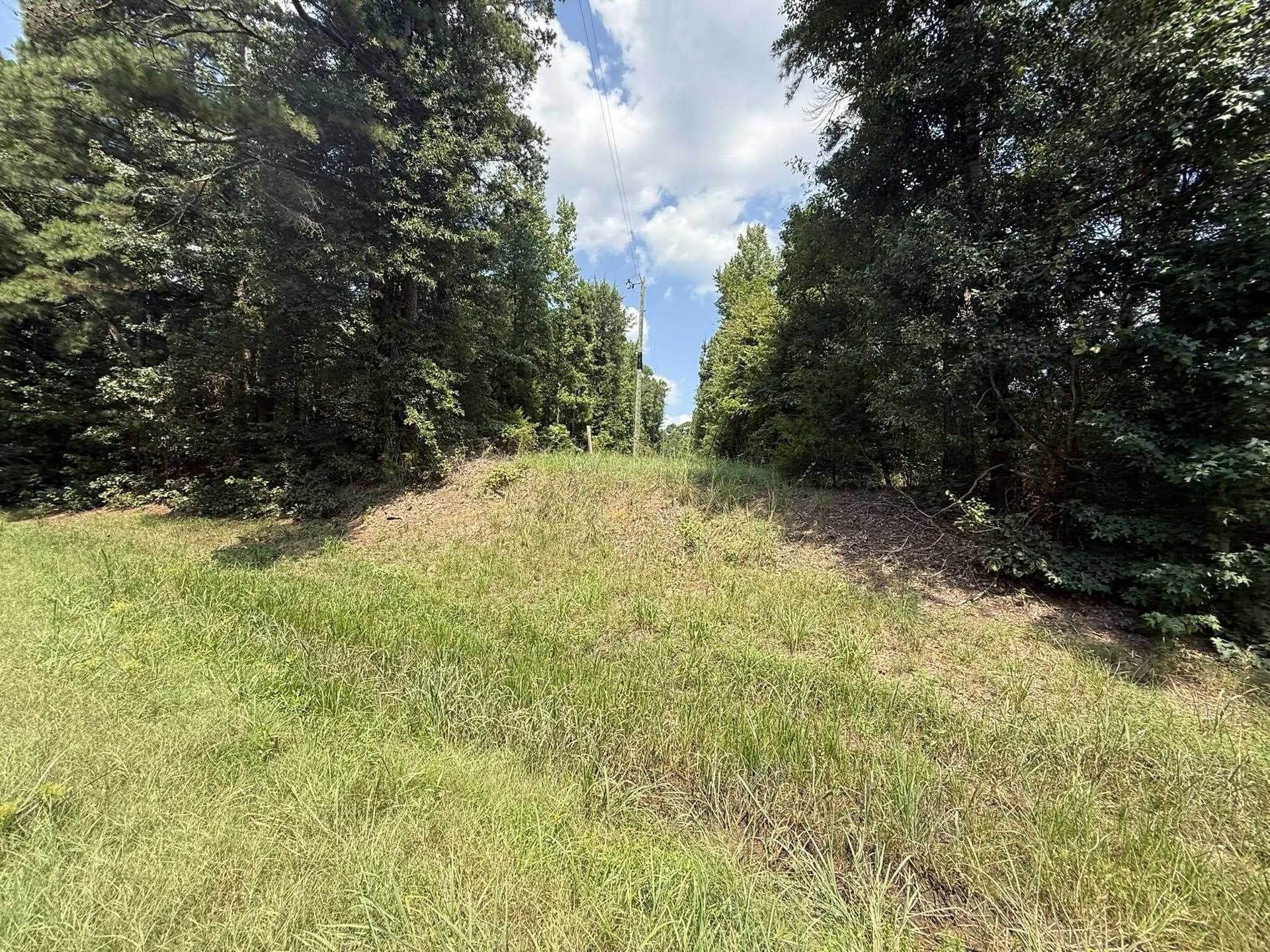 5 acres in Texas County - photo 25