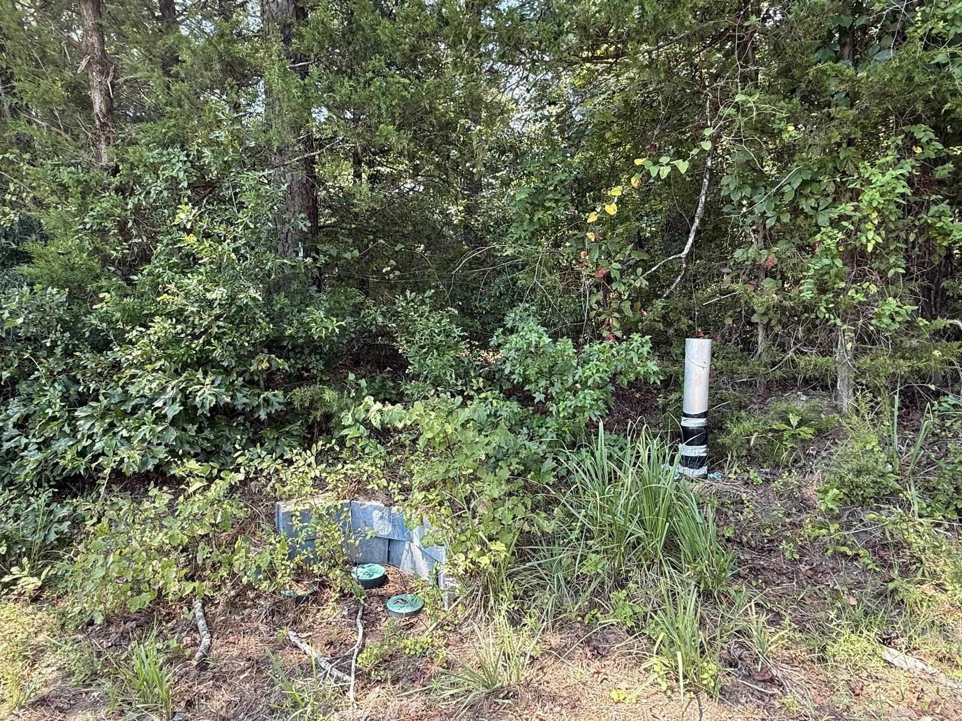 5 acres in Texas County - photo 21