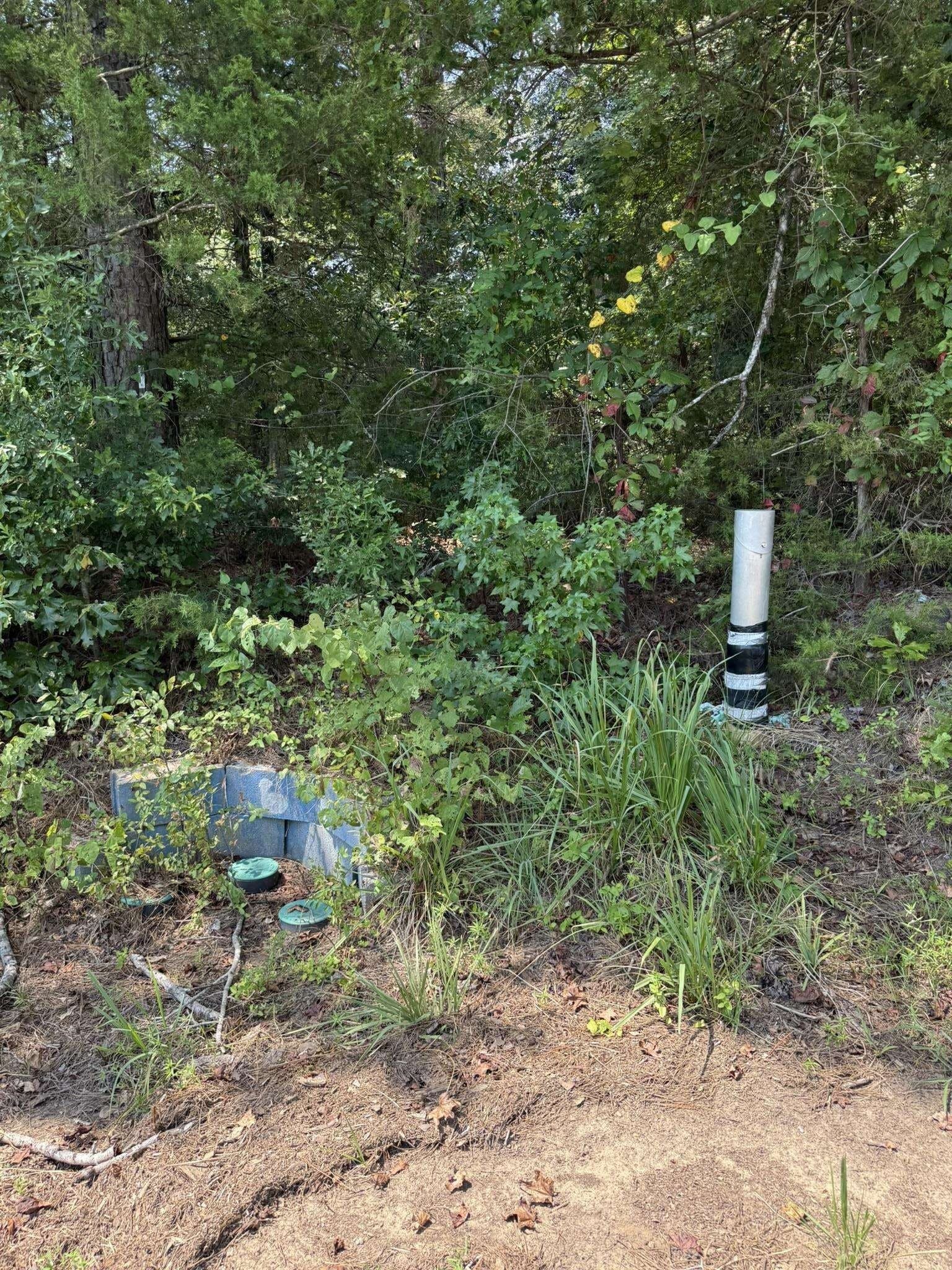 5 acres in Texas County - photo 20