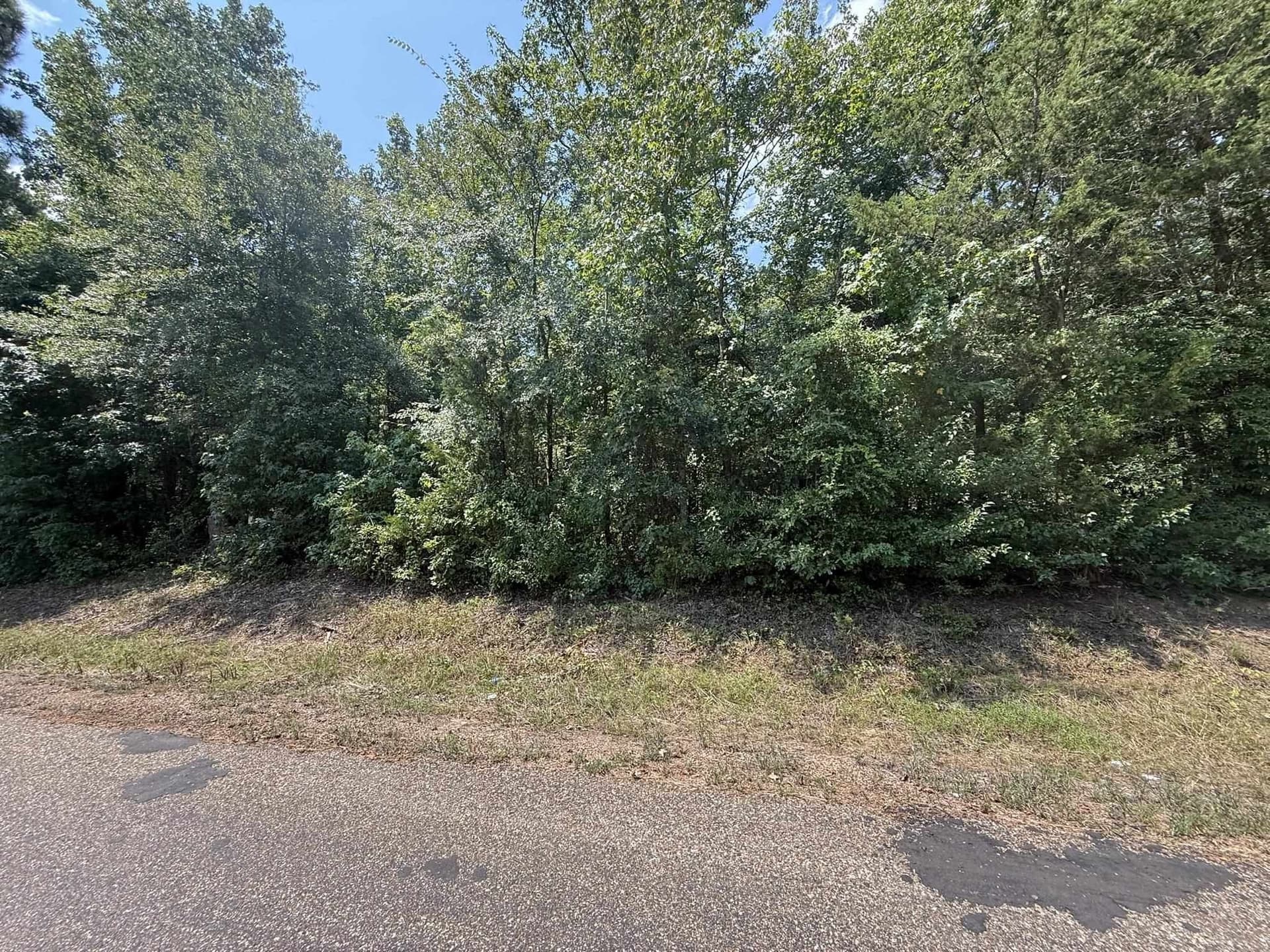 5 acres in Texas County - photo 13
