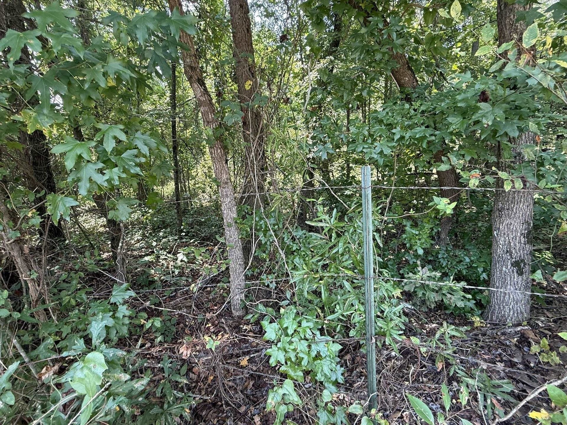 5 acres in Texas County - photo 15