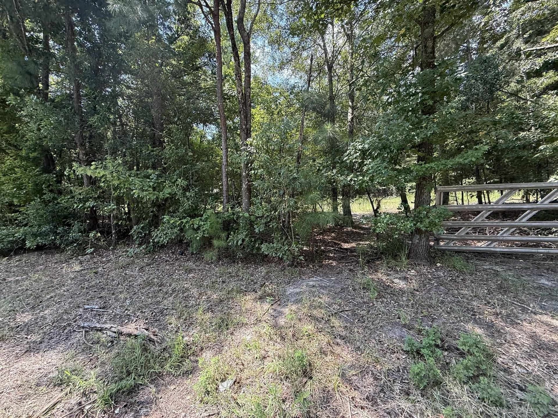 5 acres in Texas County - photo 4