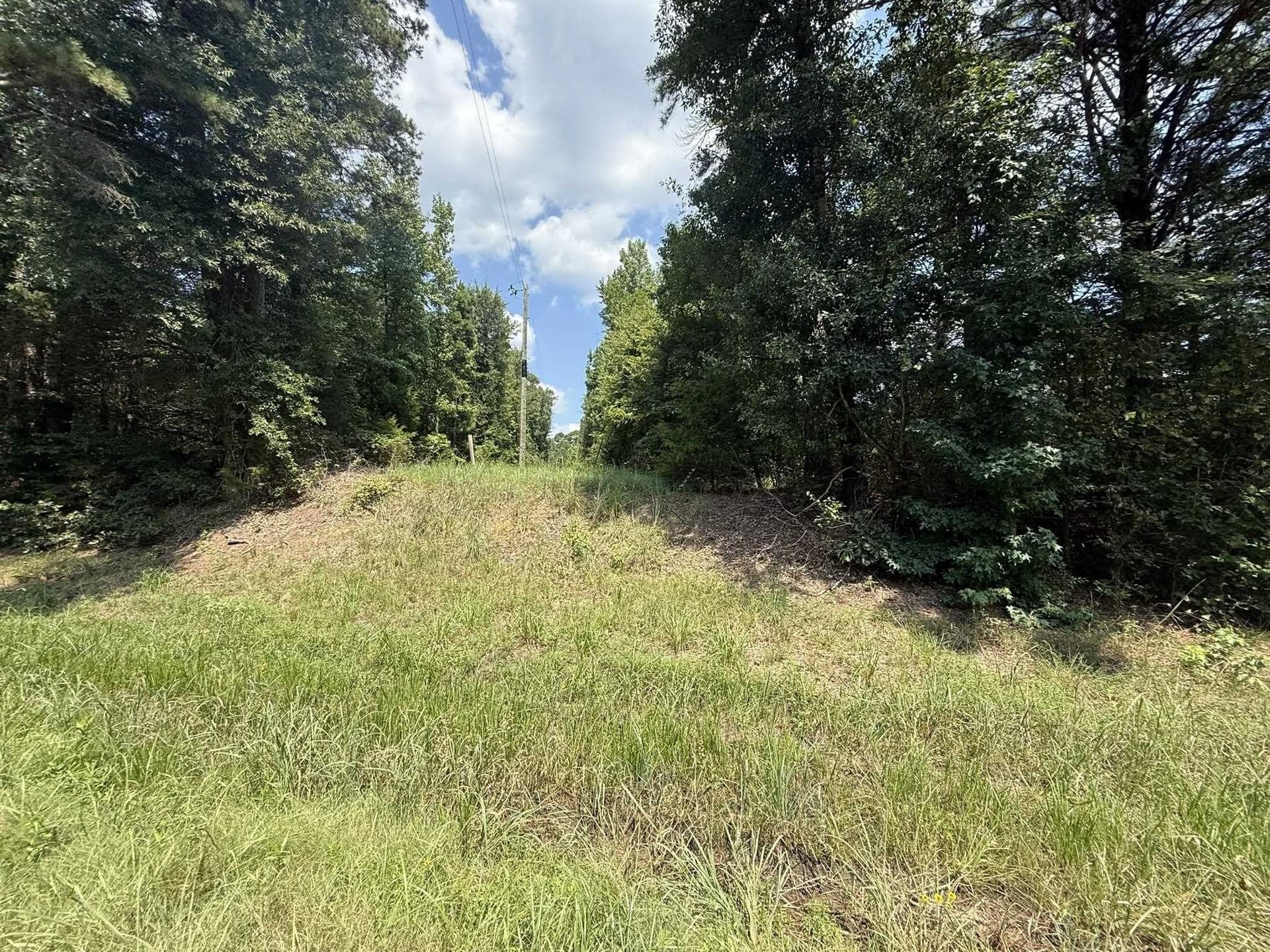 5 acres in Texas County - photo 27