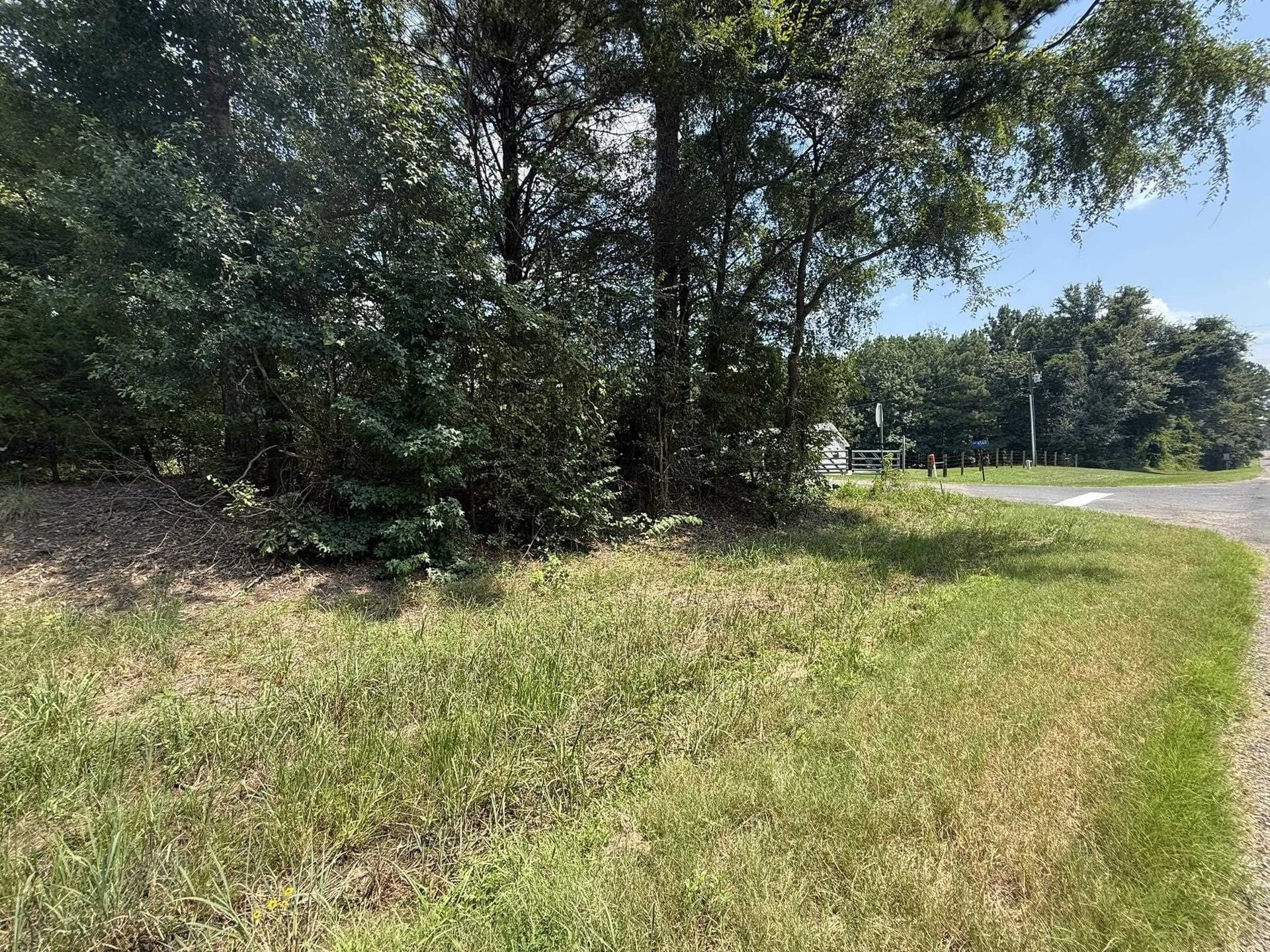 5 acres in Texas County - photo 2